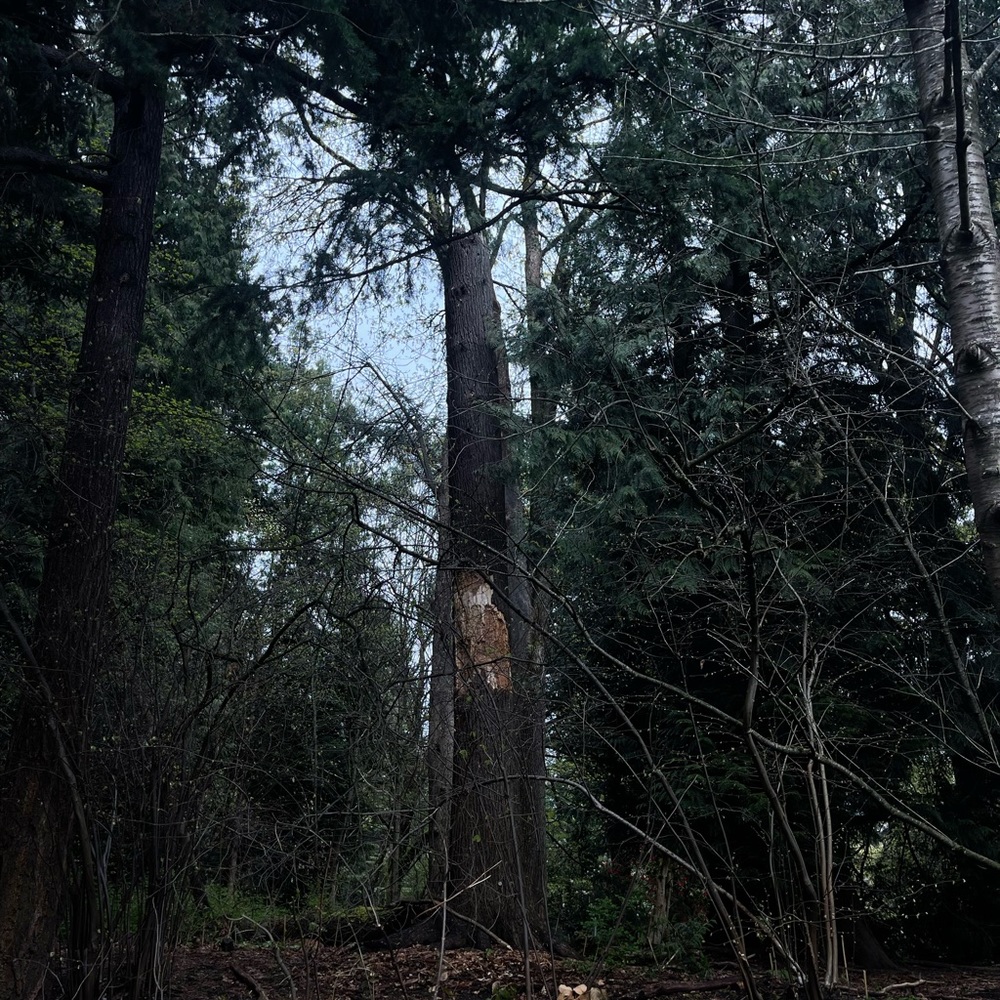 Meet your Posher, Sophia